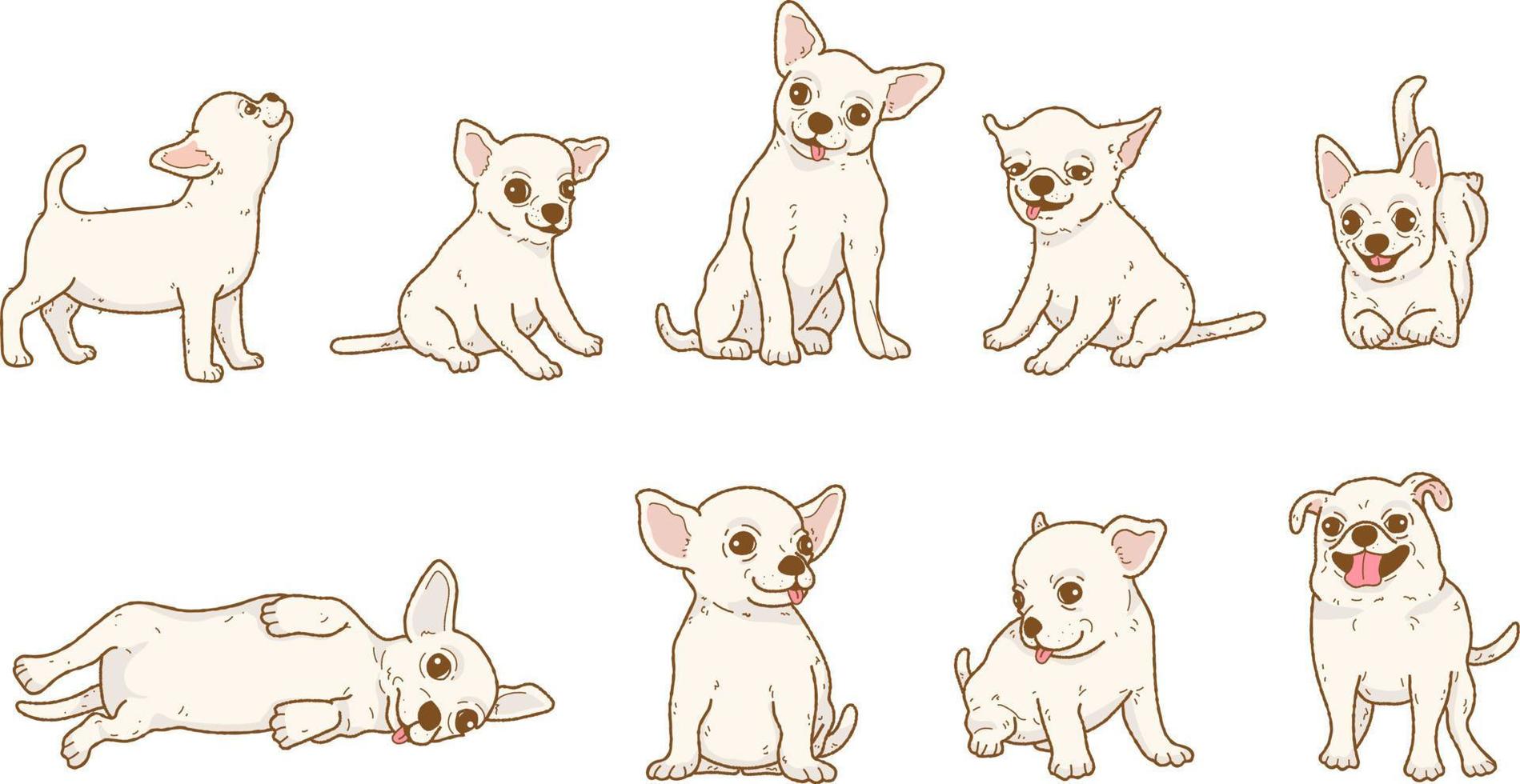 Cartoon chihuahua dog illustration set vector