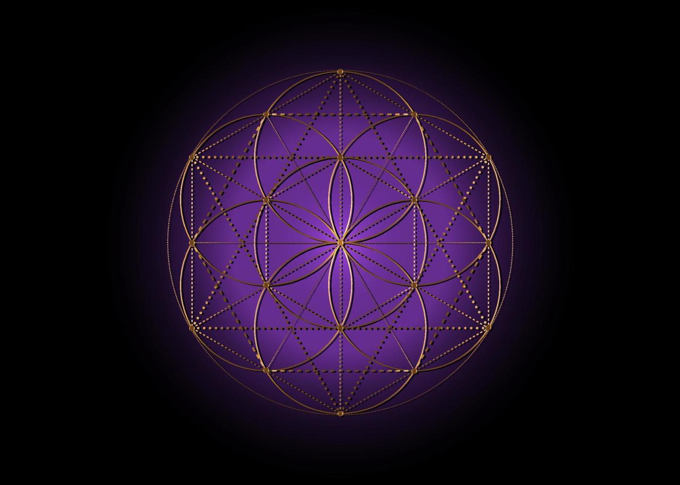 flor de la vida, semilla de la vida símbolo geometría sagrada, mandala mística de alquimia signo esotérico. vector de logotipo de lujo dorado aislado sobre fondo púrpura