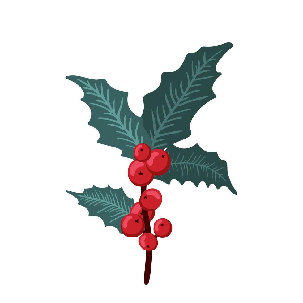 Christmas holly berry set, green leaf, red berry, branches, twigs. Vector winter illustration isolated on white background for Christmas cards and decorative design.