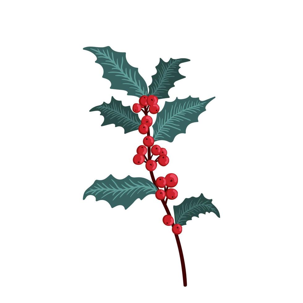 Christmas holly berry set, green leaf, red berry, branches, twigs. Vector winter illustration isolated on white background for Christmas cards and decorative design.