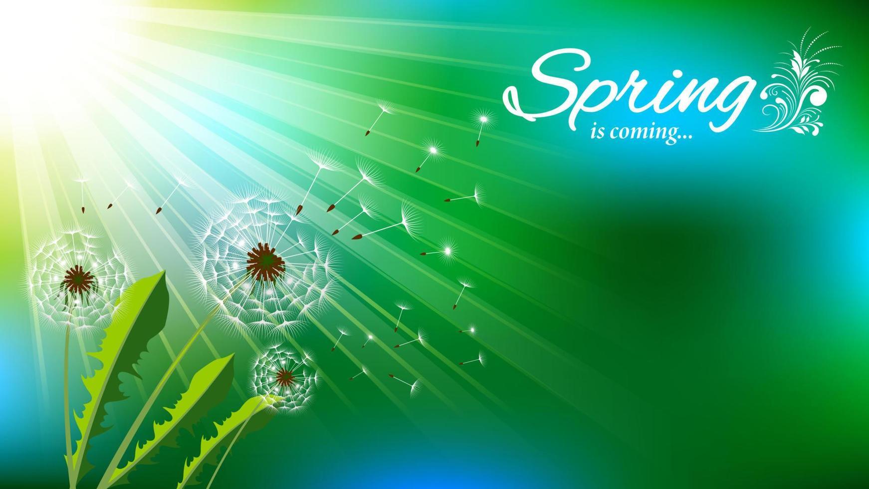 Spring Sunlight dandelions bokeh background vector