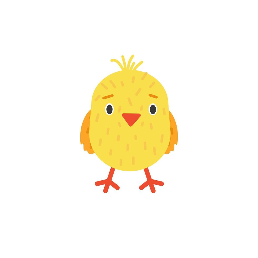 pollito divertido aislado sobre fondo blanco. pajarito doméstico. personaje animado. vector