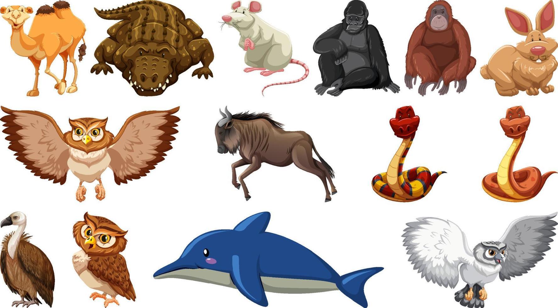 Set of different wild animals cartoon characters vector