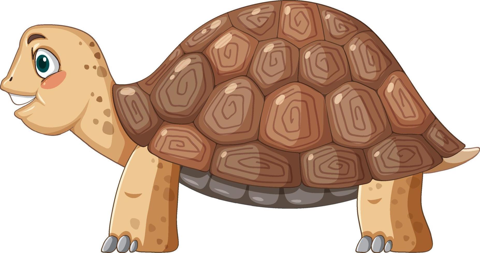 Side view of tortoise with brown shell in cartoon style vector