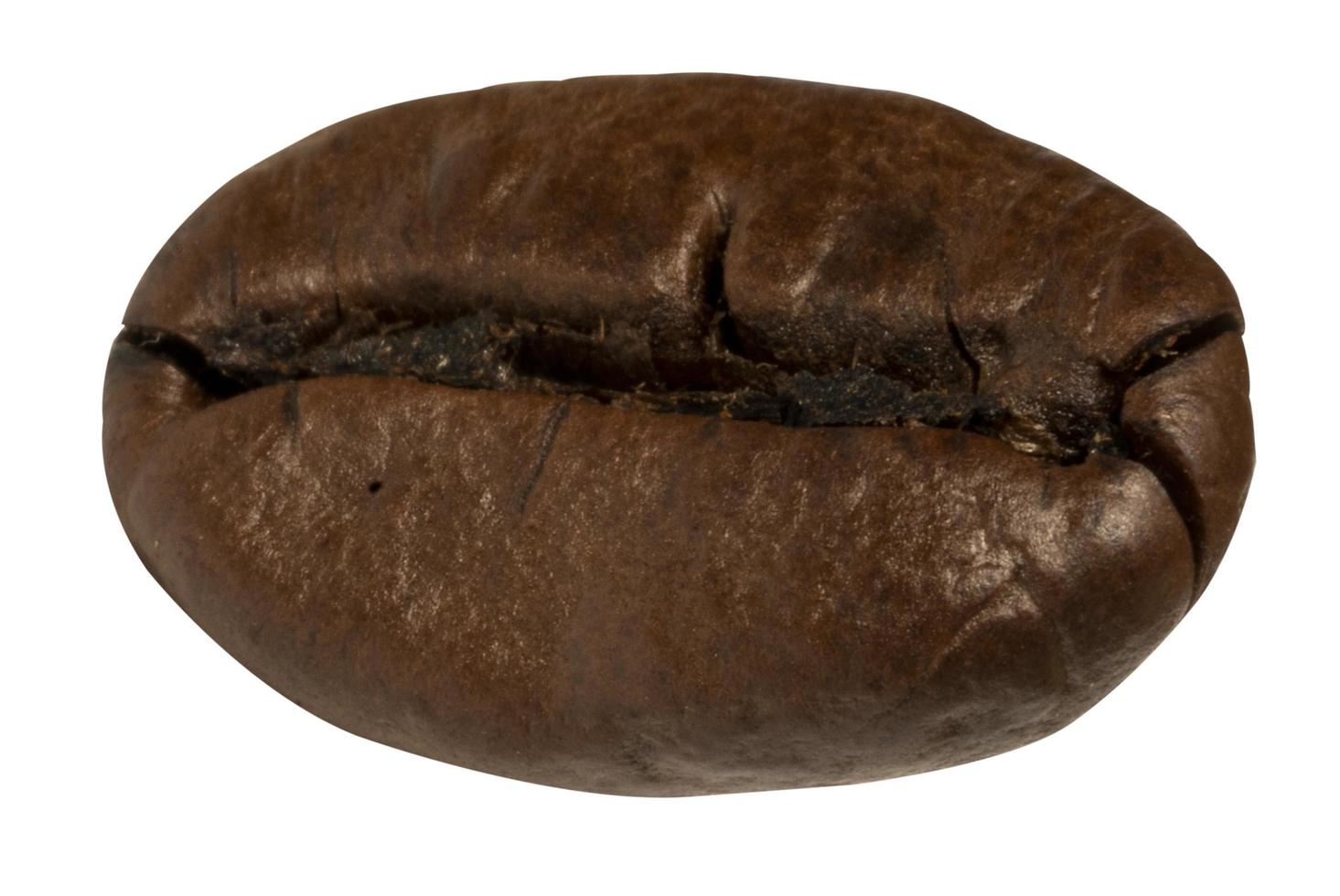 close up of coffee beans photo