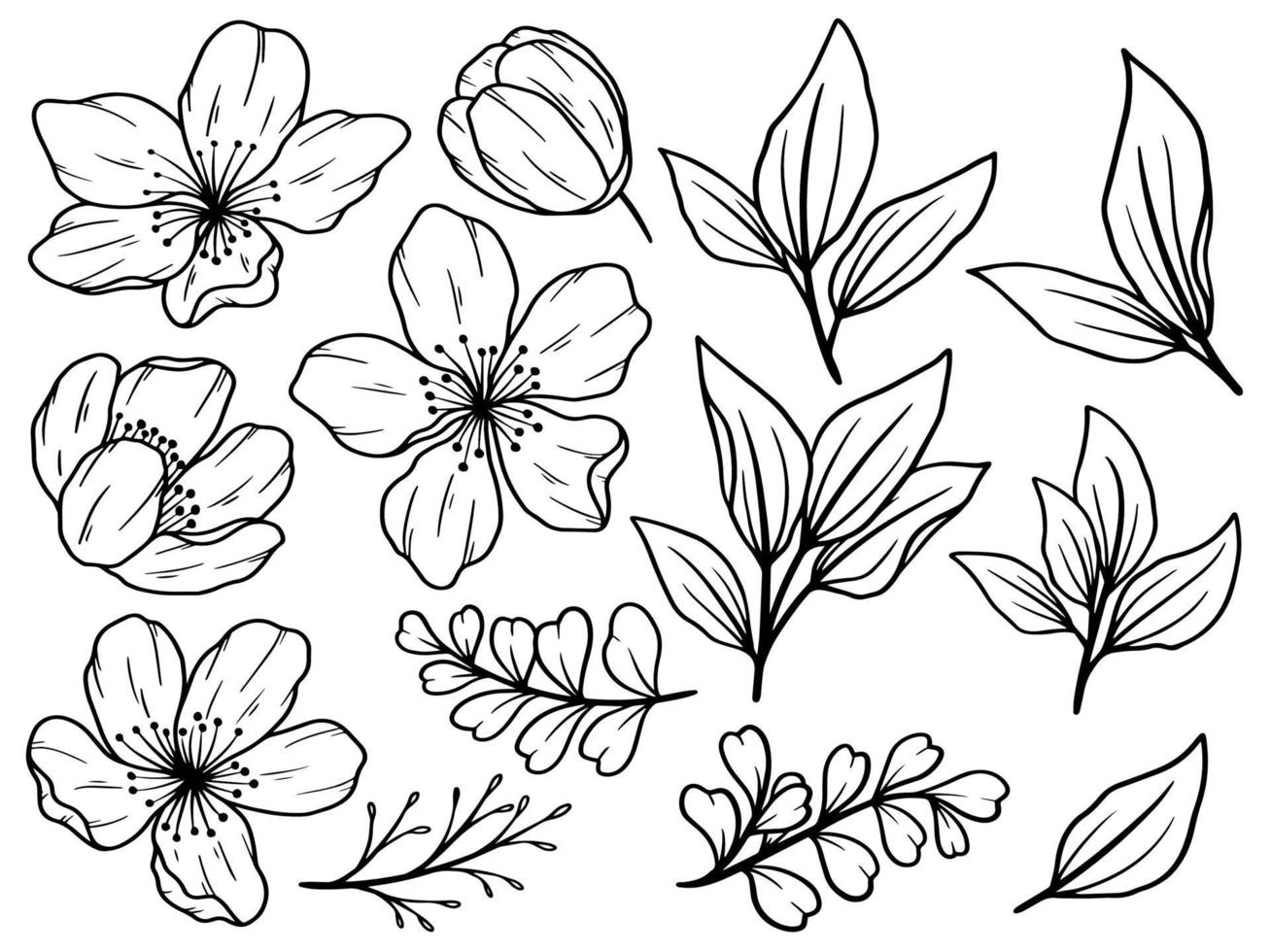 Flower line art hand drawn collection vector