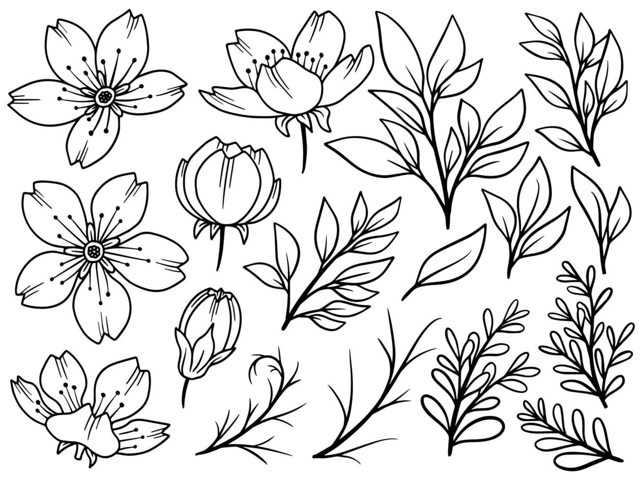 colección de flores dibujadas a mano de arte lineal vector