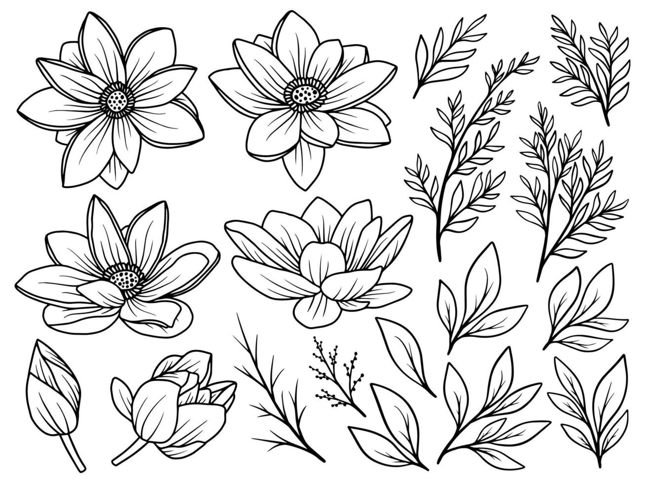 Flower line art hand drawn collection vector