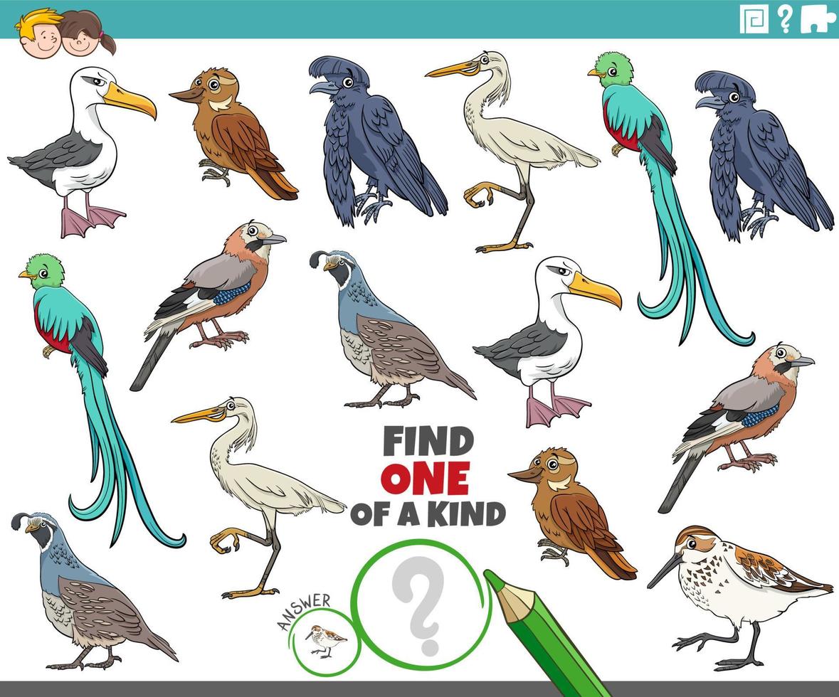one of a kind task with cartoon birds animal characters vector