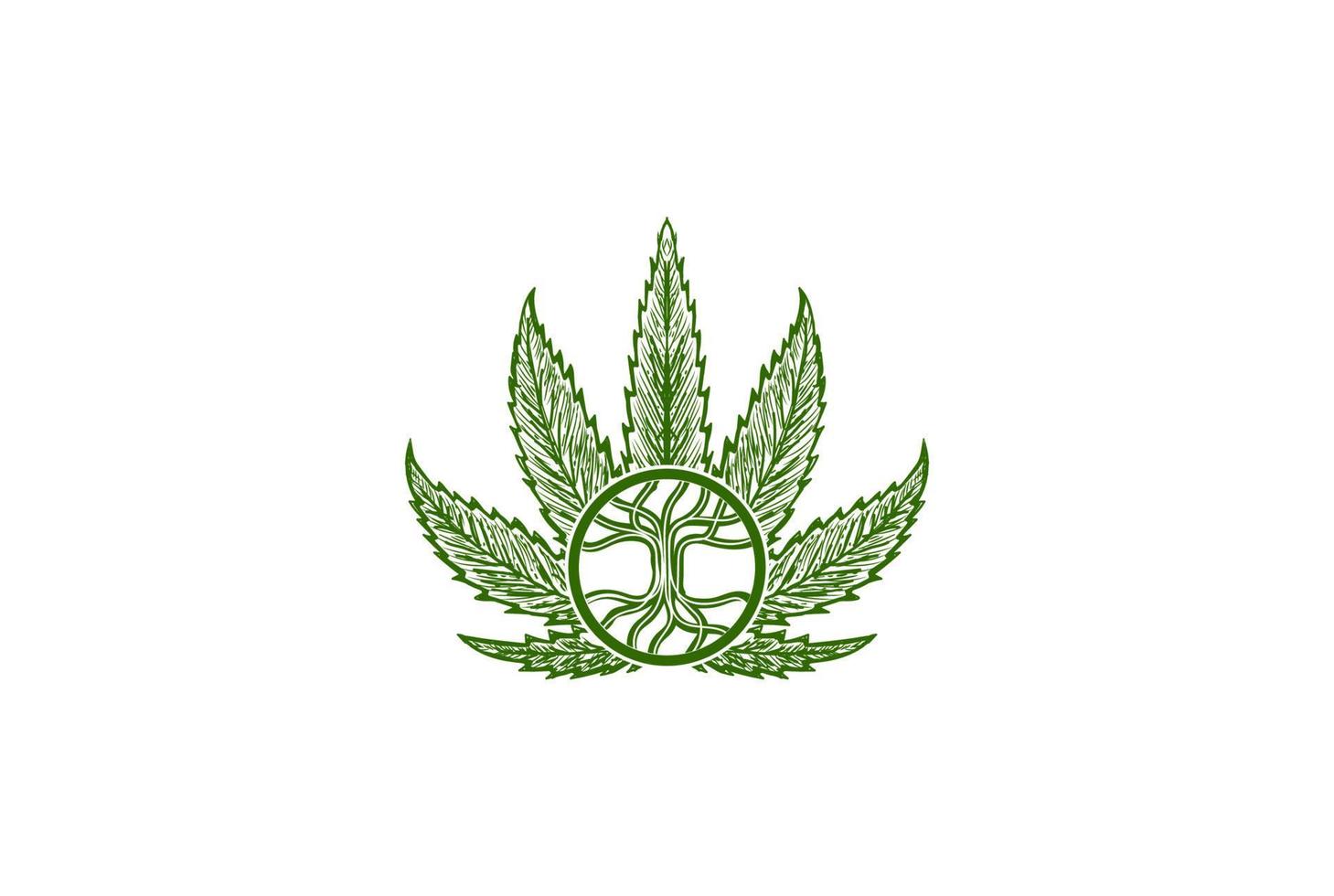 cannabis, marihuana, marihuana, hoja, raíz, cbd, aceite, logotipo, diseño, vector