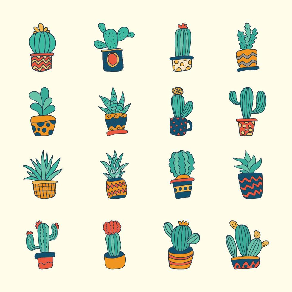 cactus suculentos dibujados a mano vector