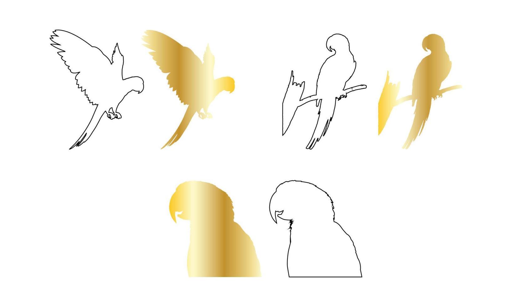 set of parrots on white vector