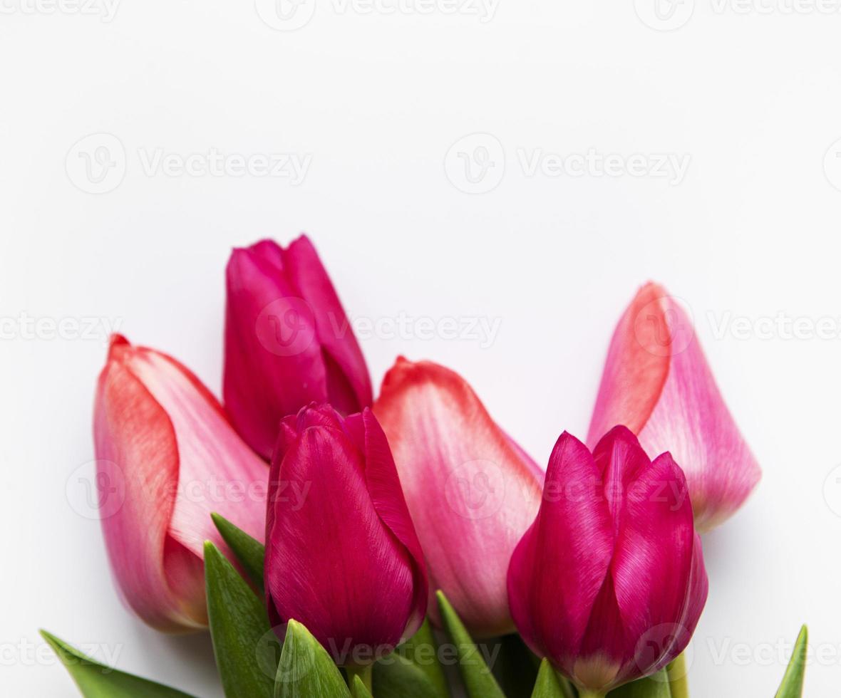 Beautiful tulips bouquet photo