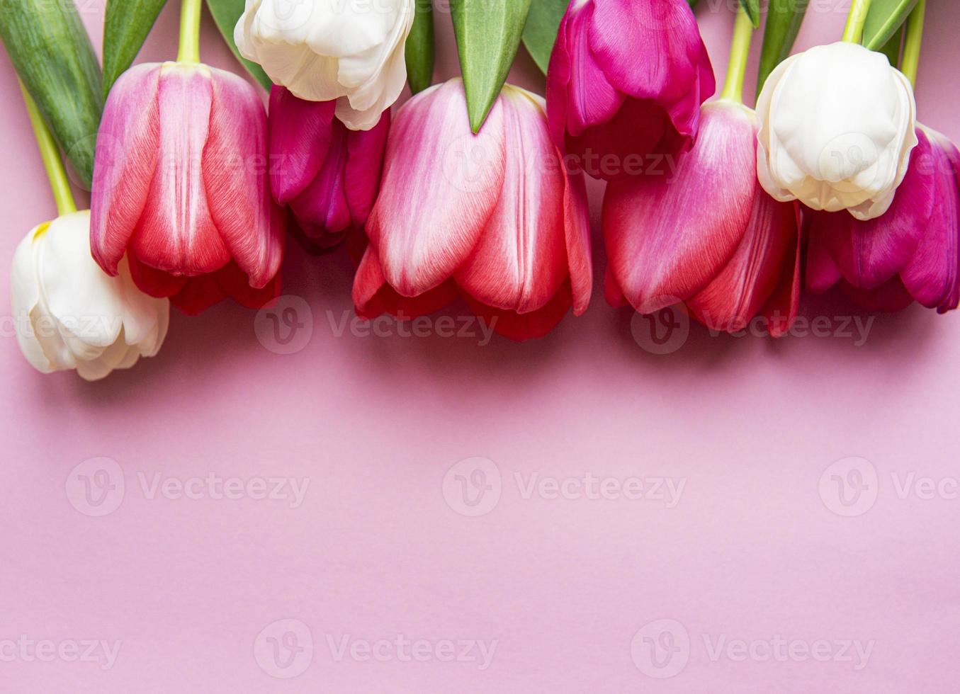 Beautiful tulips bouquet photo