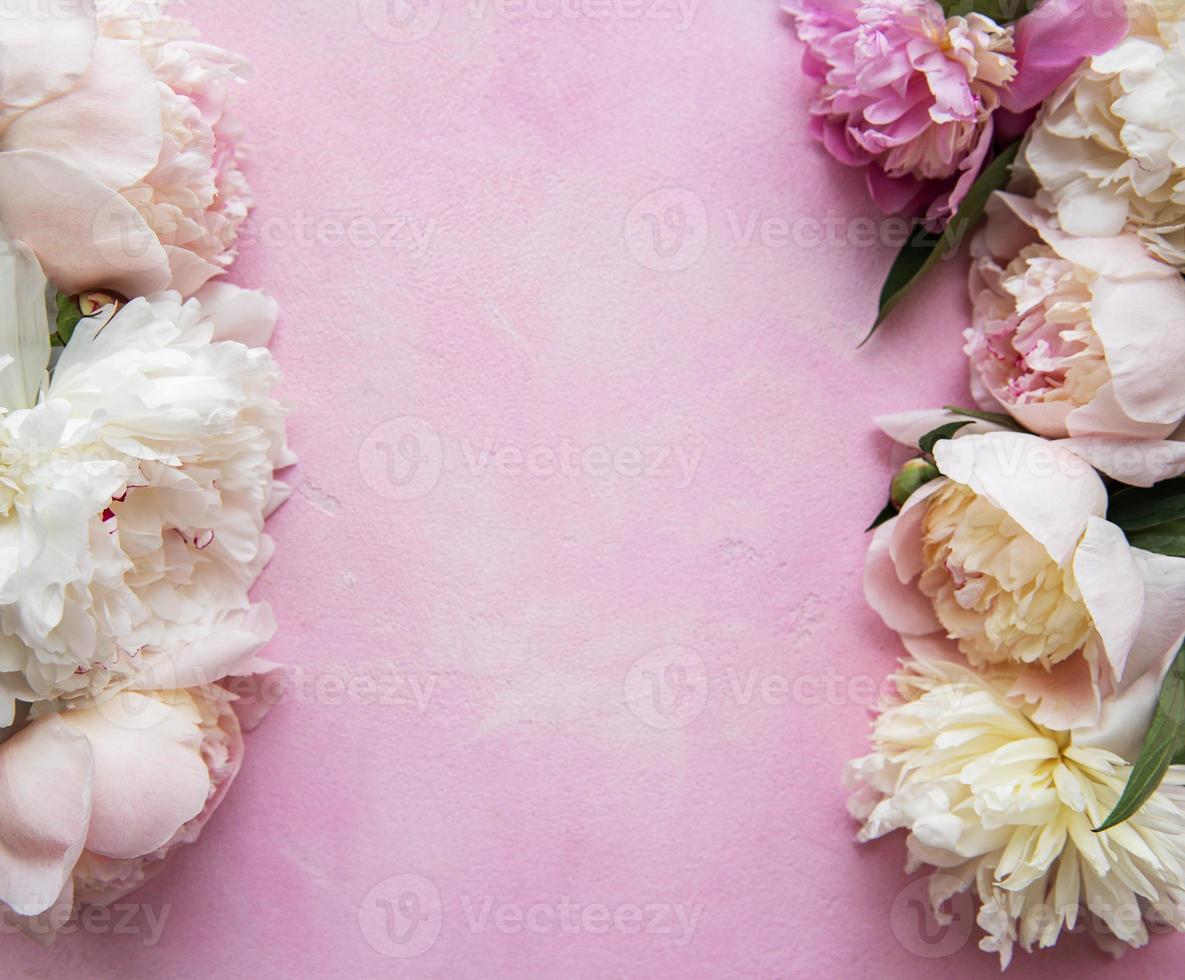 Background with pink peonies photo