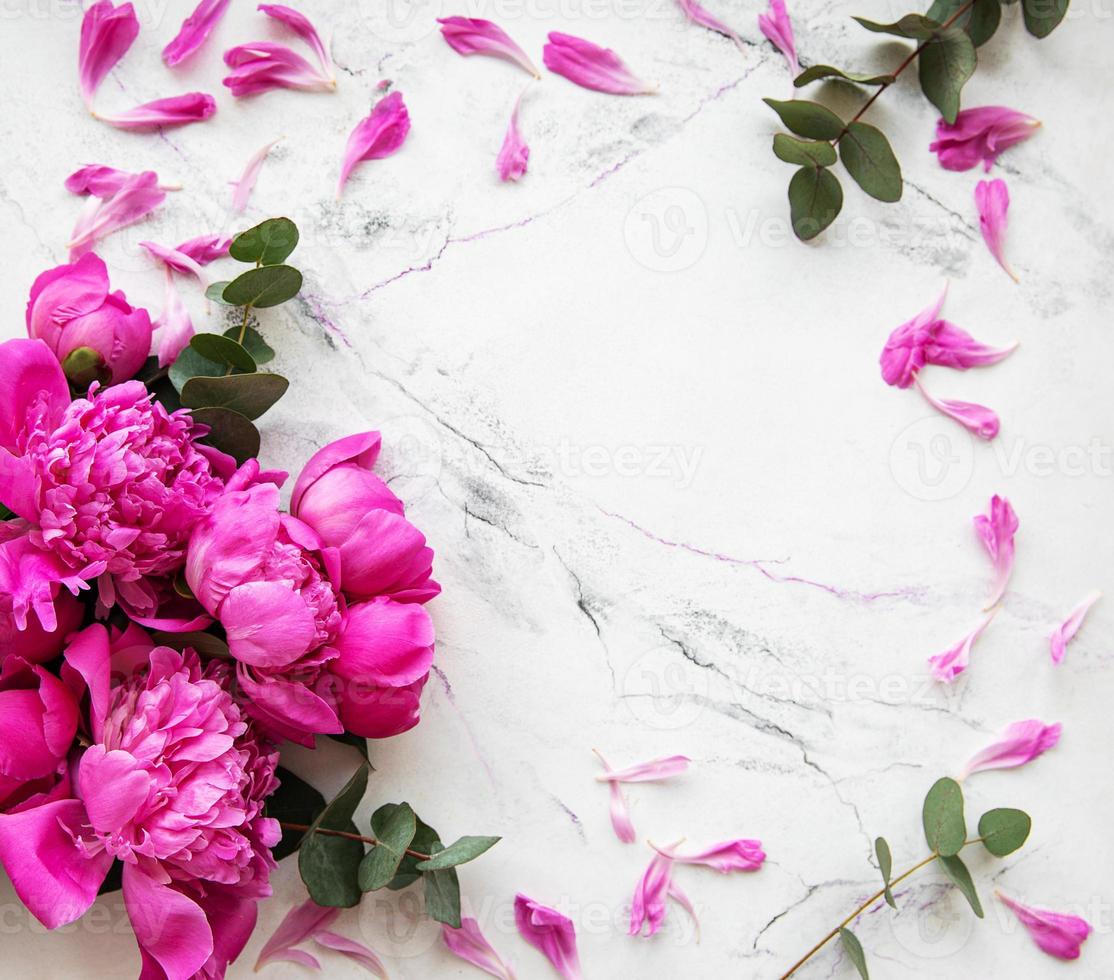 Background with pink peonies photo