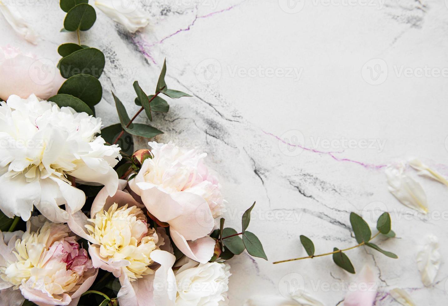 Background with pink peonies photo