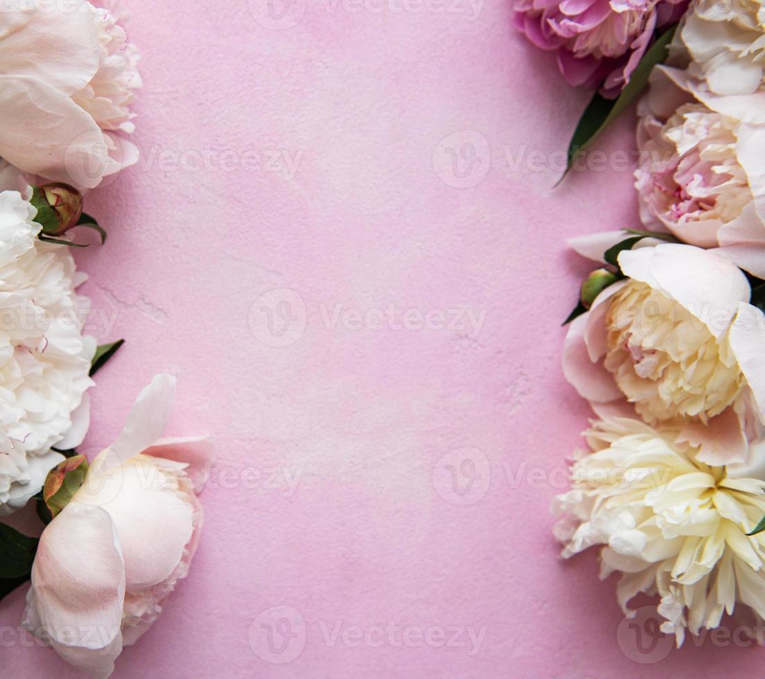 Background with pink peonies photo