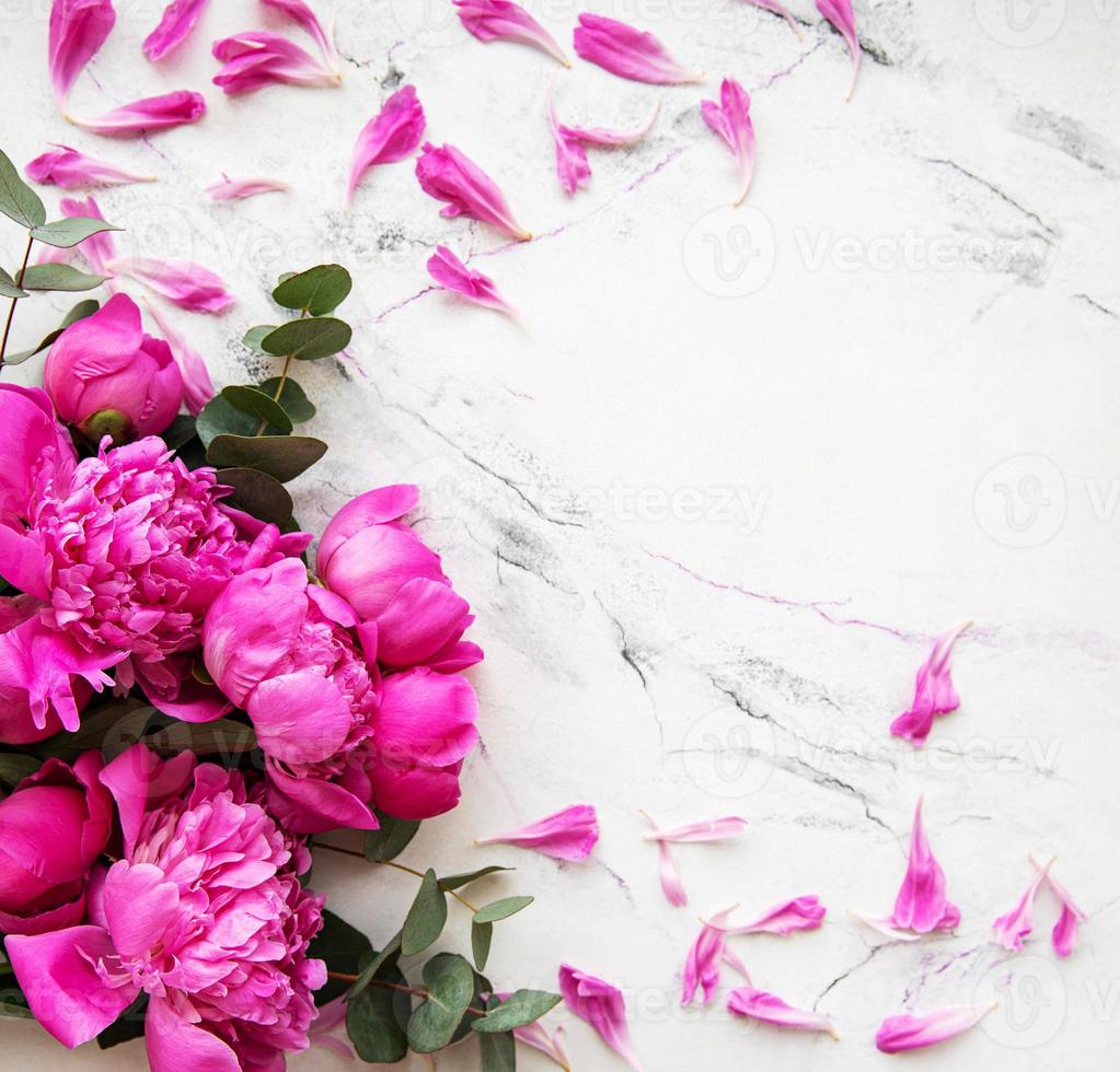 Background with pink peonies photo