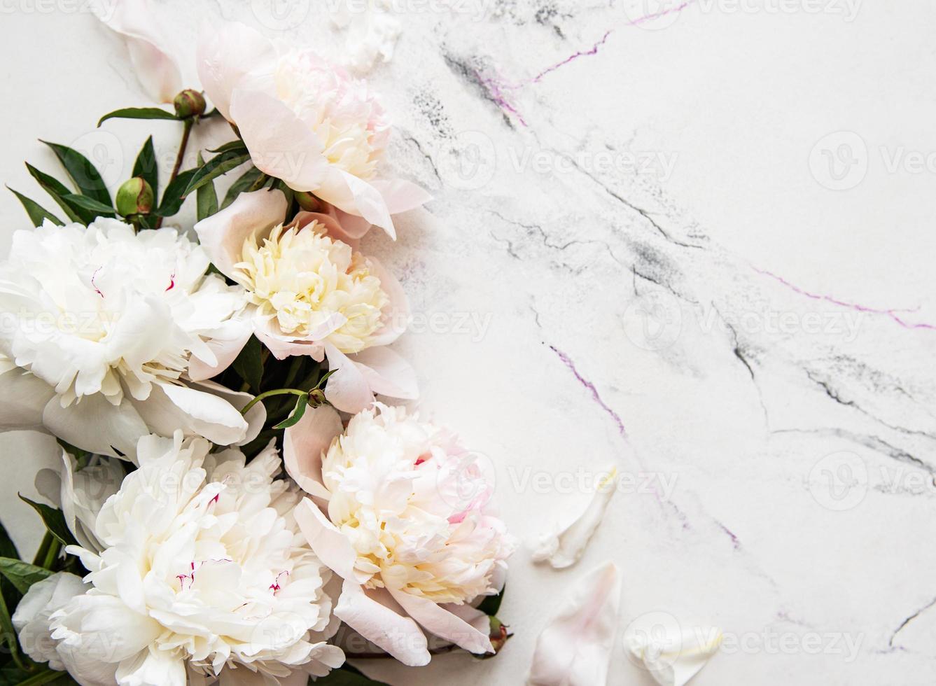 Pink peonies on a marble background photo