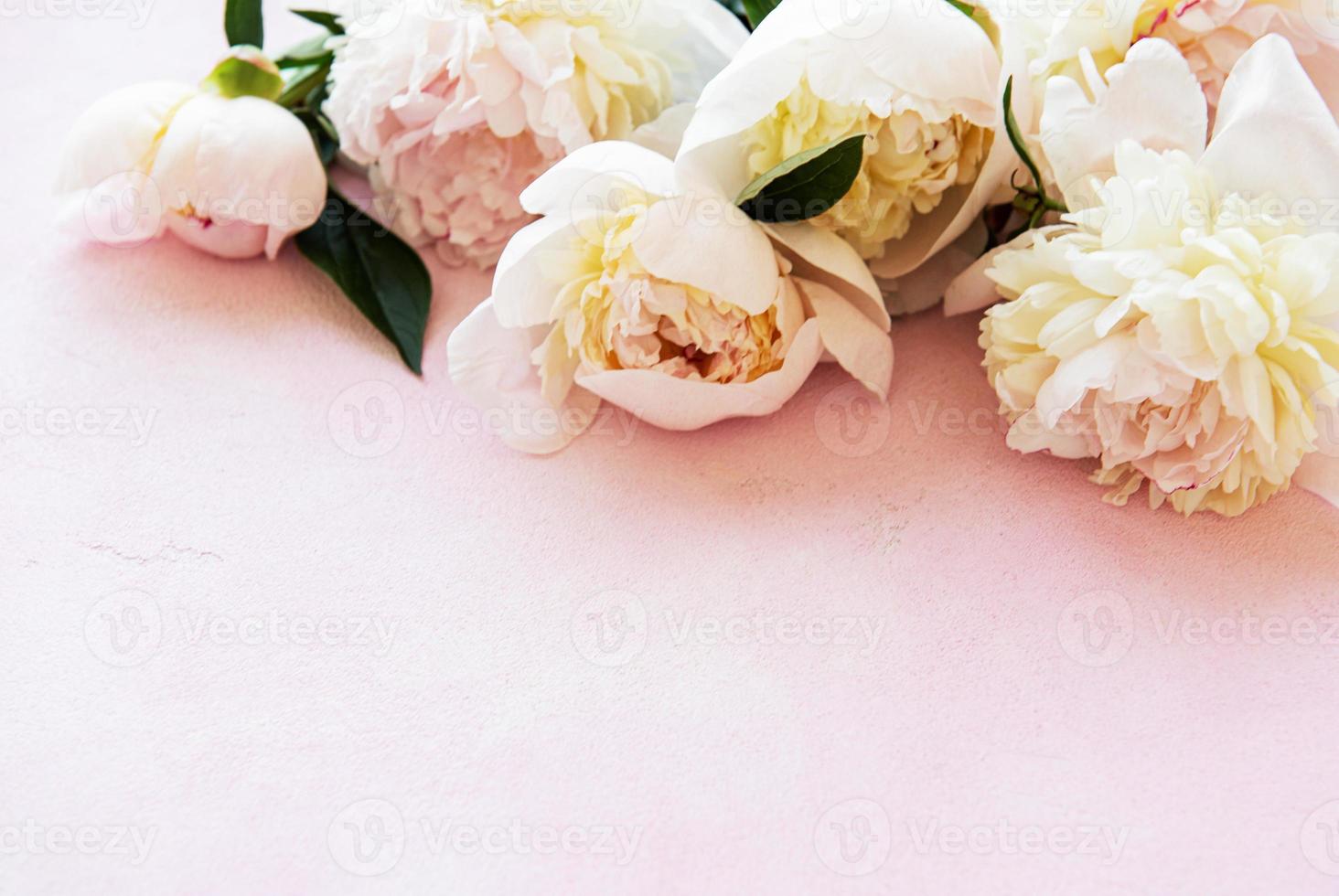 Background with peonies photo