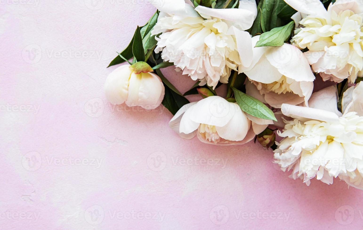 Background with peonies photo