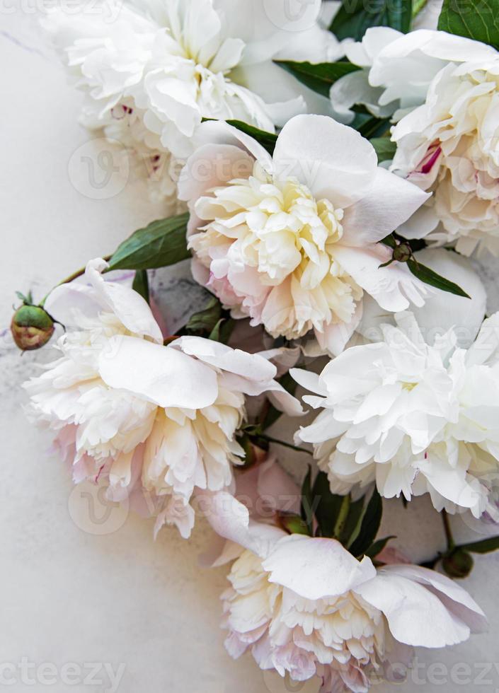 Background with pink peonies photo