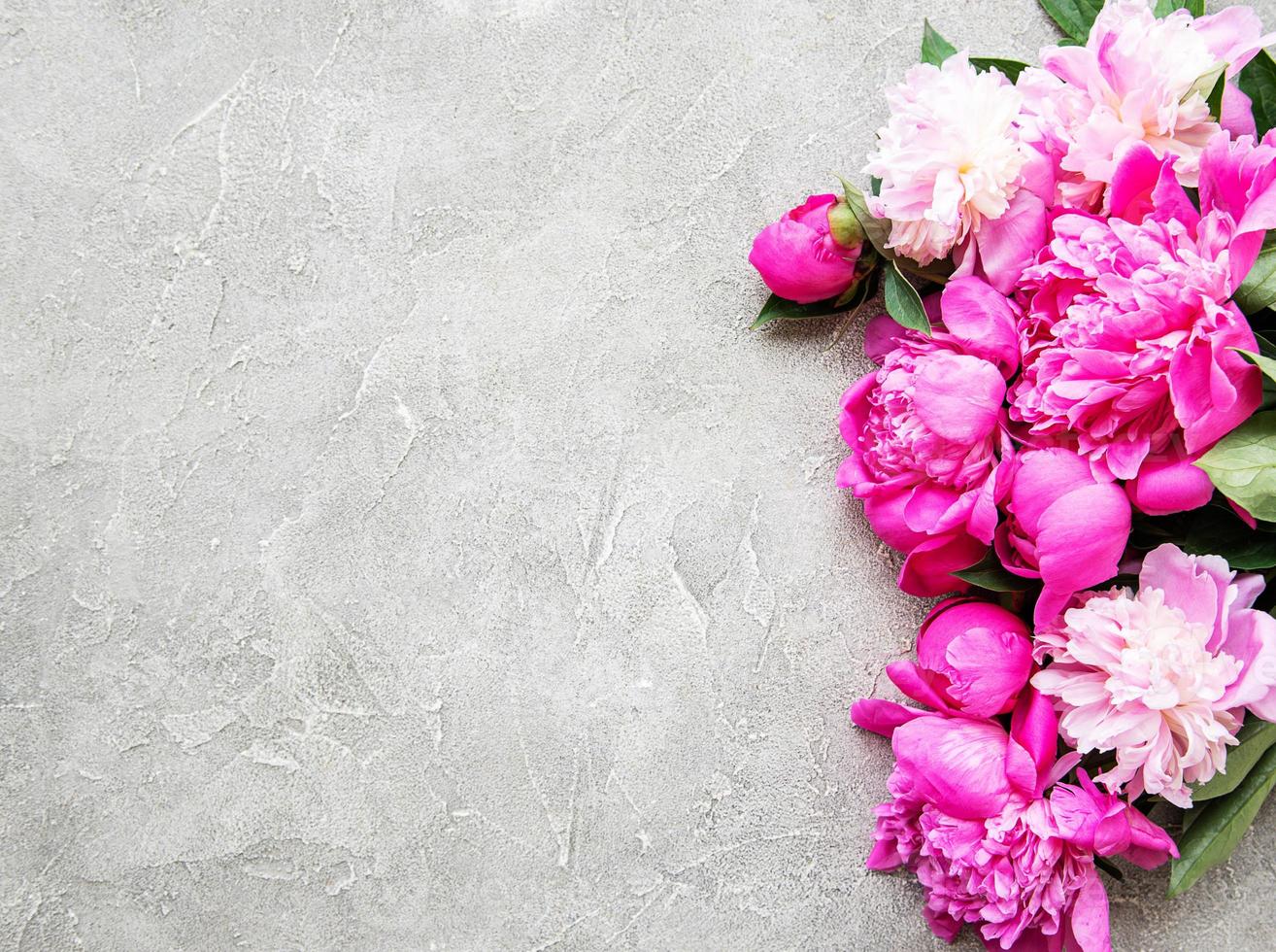 Background with pink peonies photo