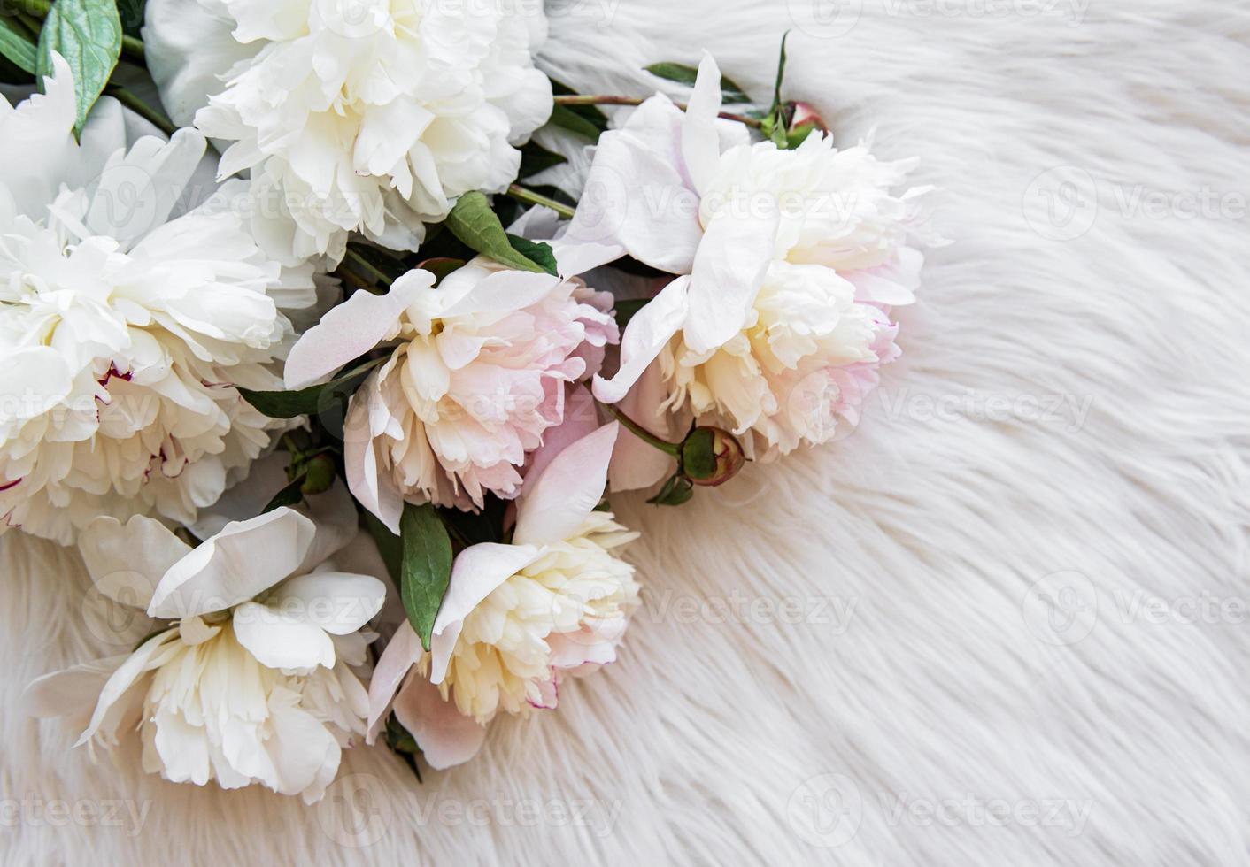 Background with pink peonies photo