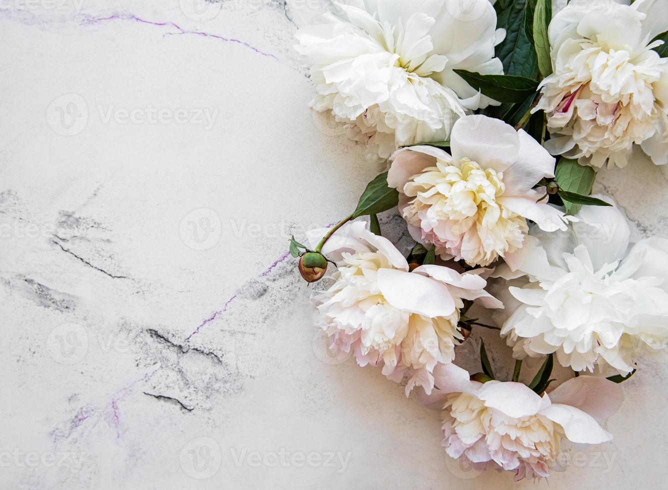 Background with pink peonies photo