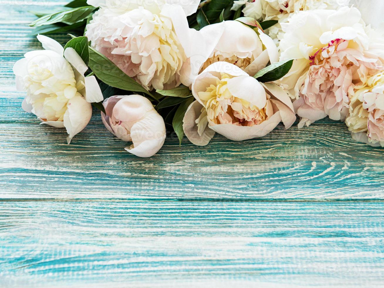 Background with peonies photo