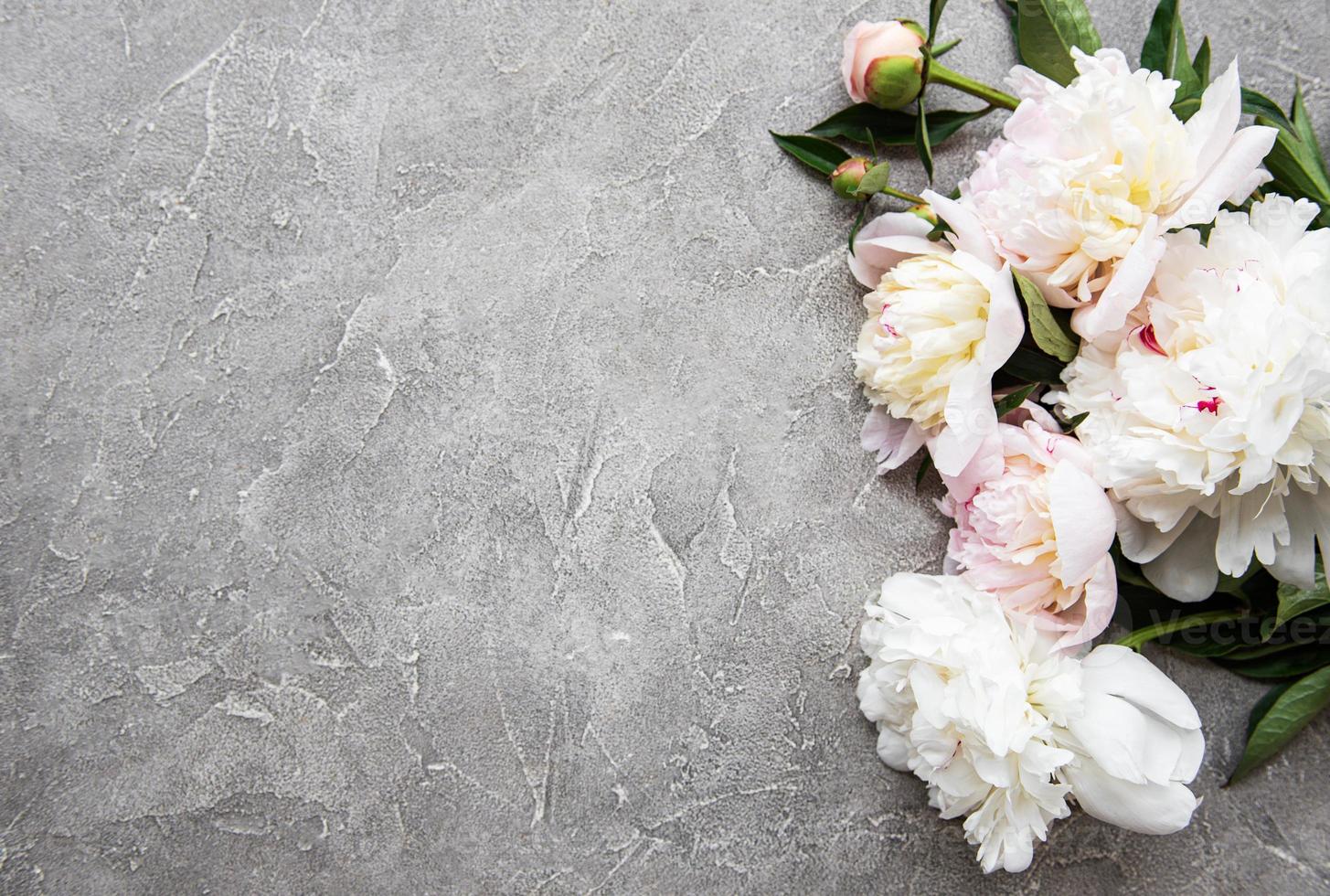 Background with pink peonies photo