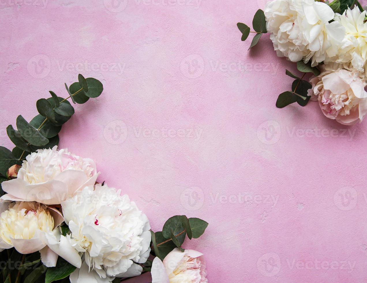 Background with pink peonies photo