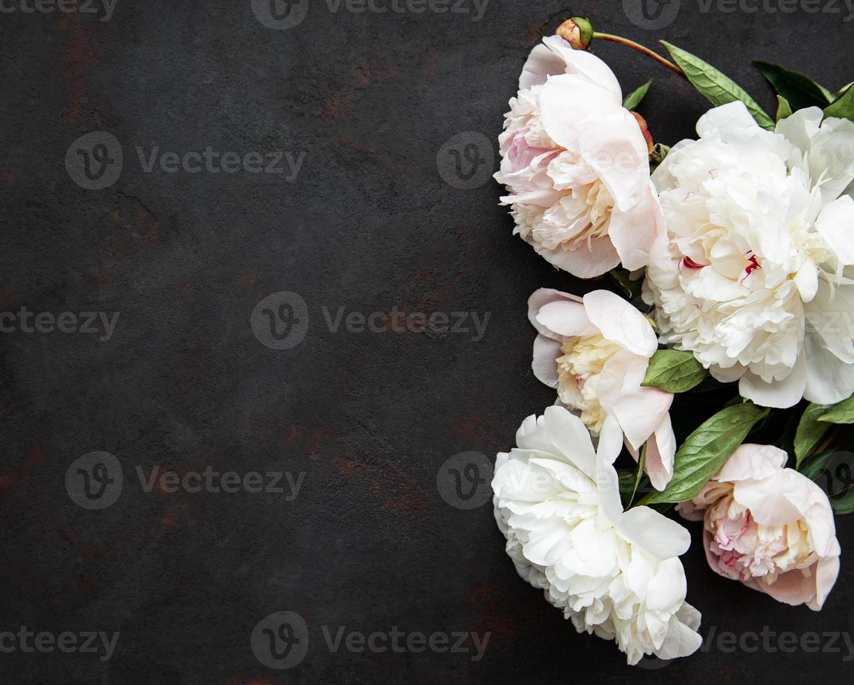 Background with pink peonies photo