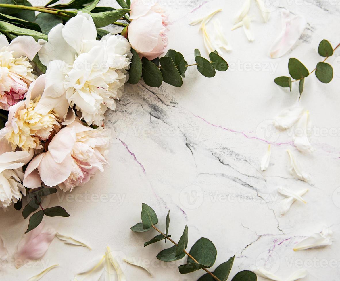 Background with pink peonies photo