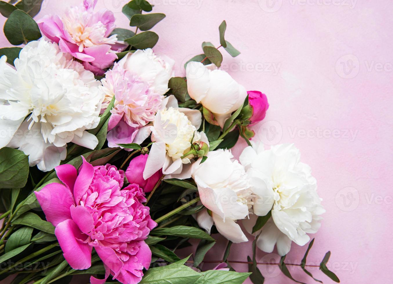 Background with pink peonies photo