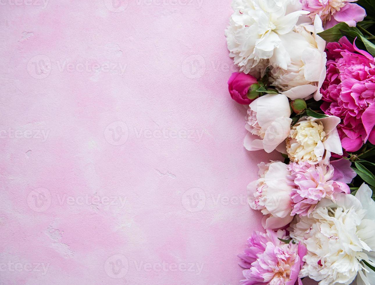 Background with pink peonies photo