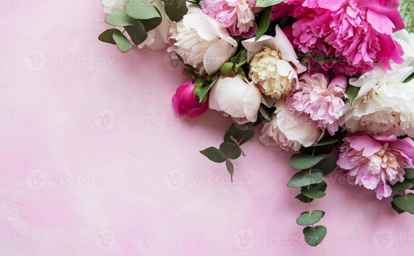 Background with pink peonies photo