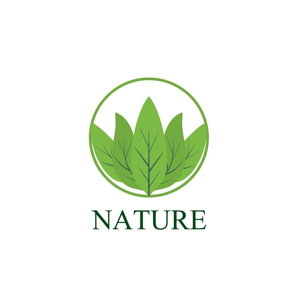 Logotipo y símbolo de la naturaleza de la hoja para la industria del medio ambiente de signos vector