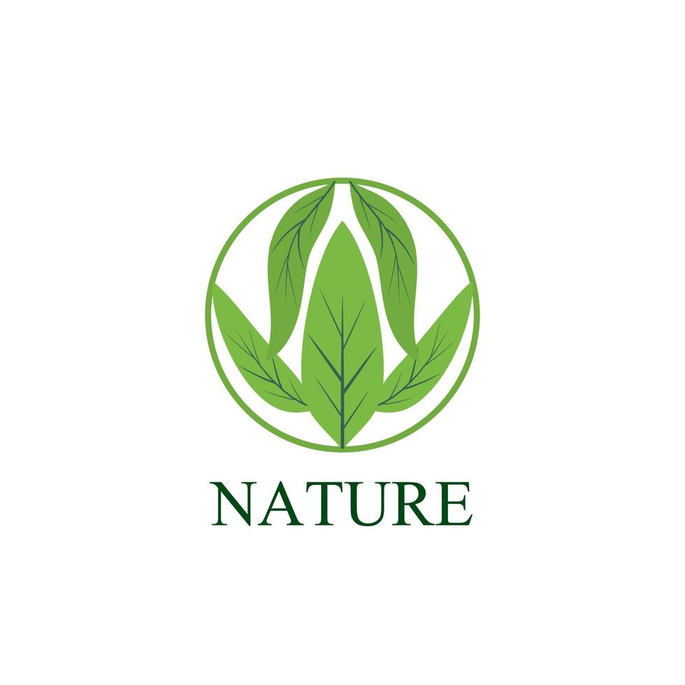 Logotipo y símbolo de la naturaleza de la hoja para la industria del medio ambiente de signos vector