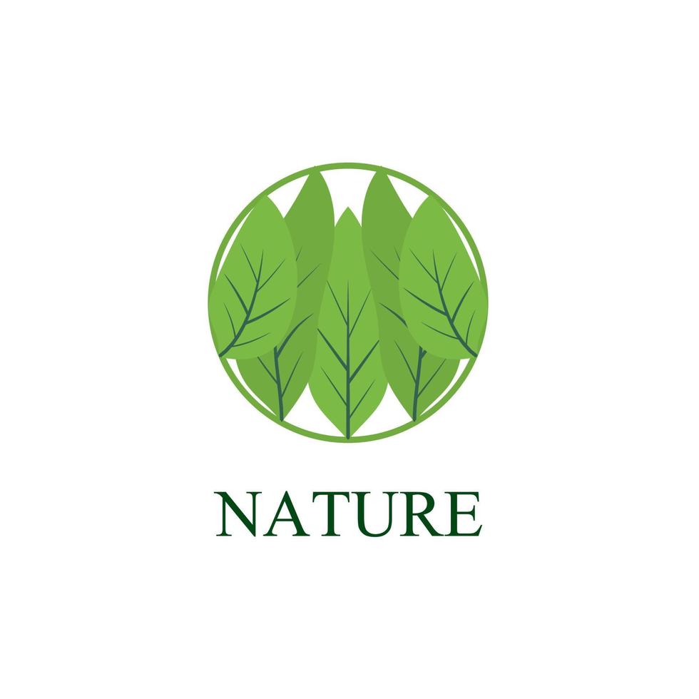 Logotipo y símbolo de la naturaleza de la hoja para la industria del medio ambiente de signos vector