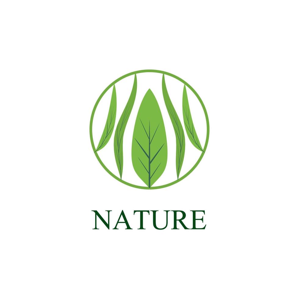 Logotipo y símbolo de la naturaleza de la hoja para la industria del medio ambiente de signos vector