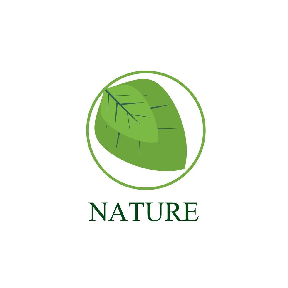 Logotipo y símbolo de la naturaleza de la hoja para la industria del medio ambiente de signos vector