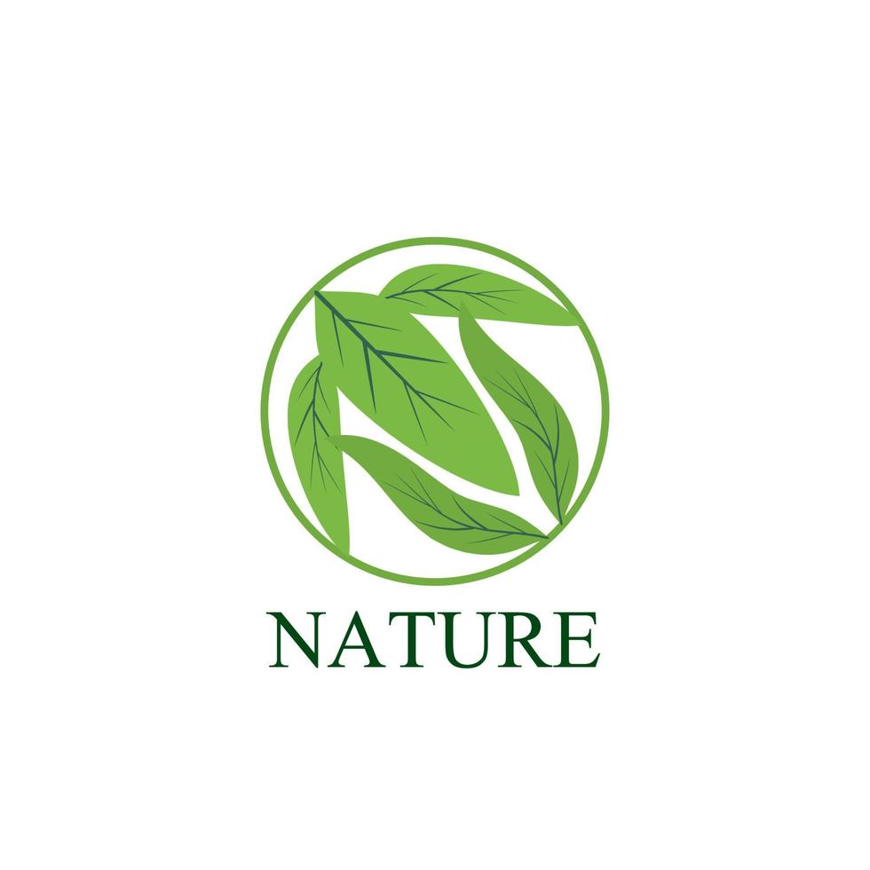 Logotipo y símbolo de la naturaleza de la hoja para la industria del medio ambiente de signos vector