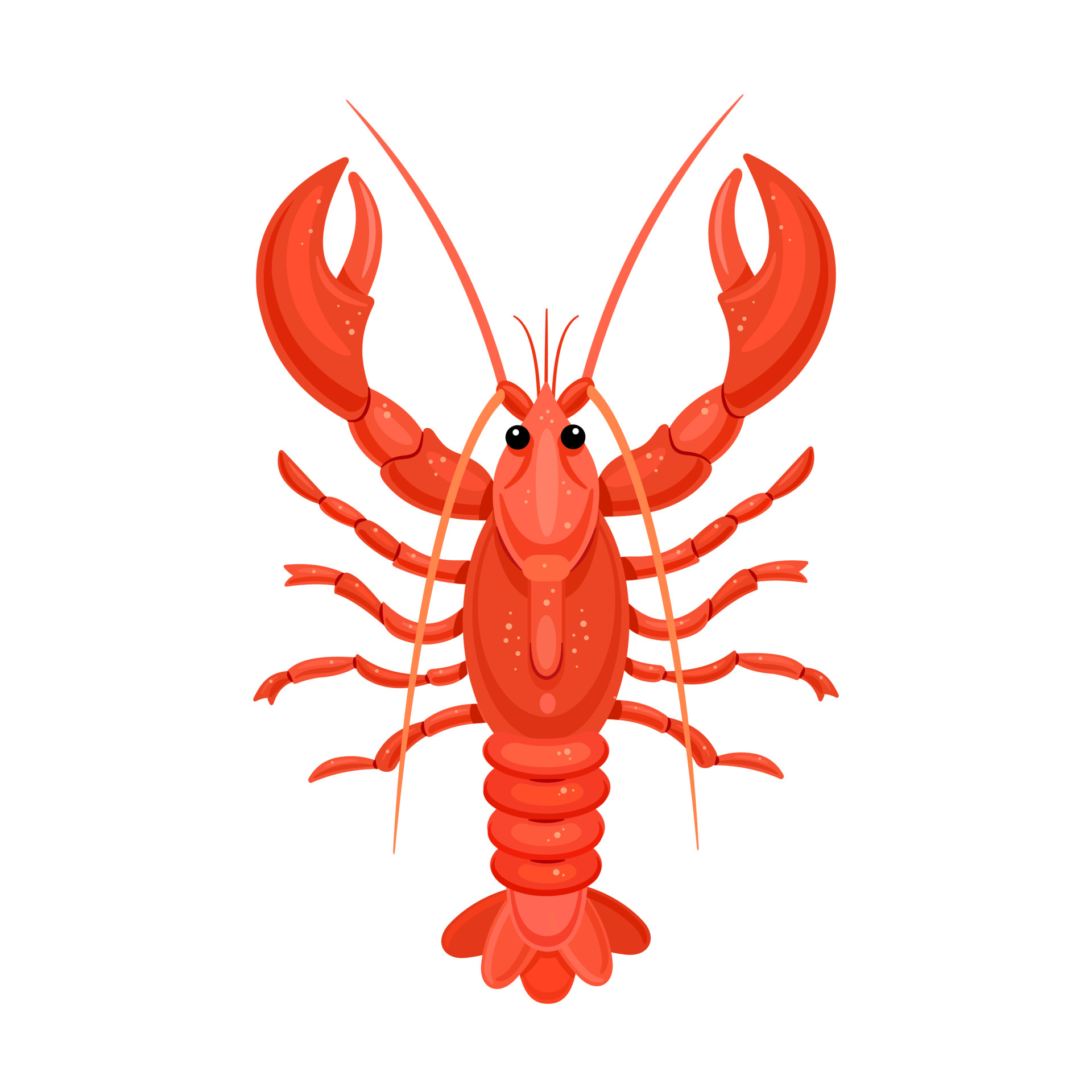 Crawfish Vector Art, Icons, and Graphics for Free Download