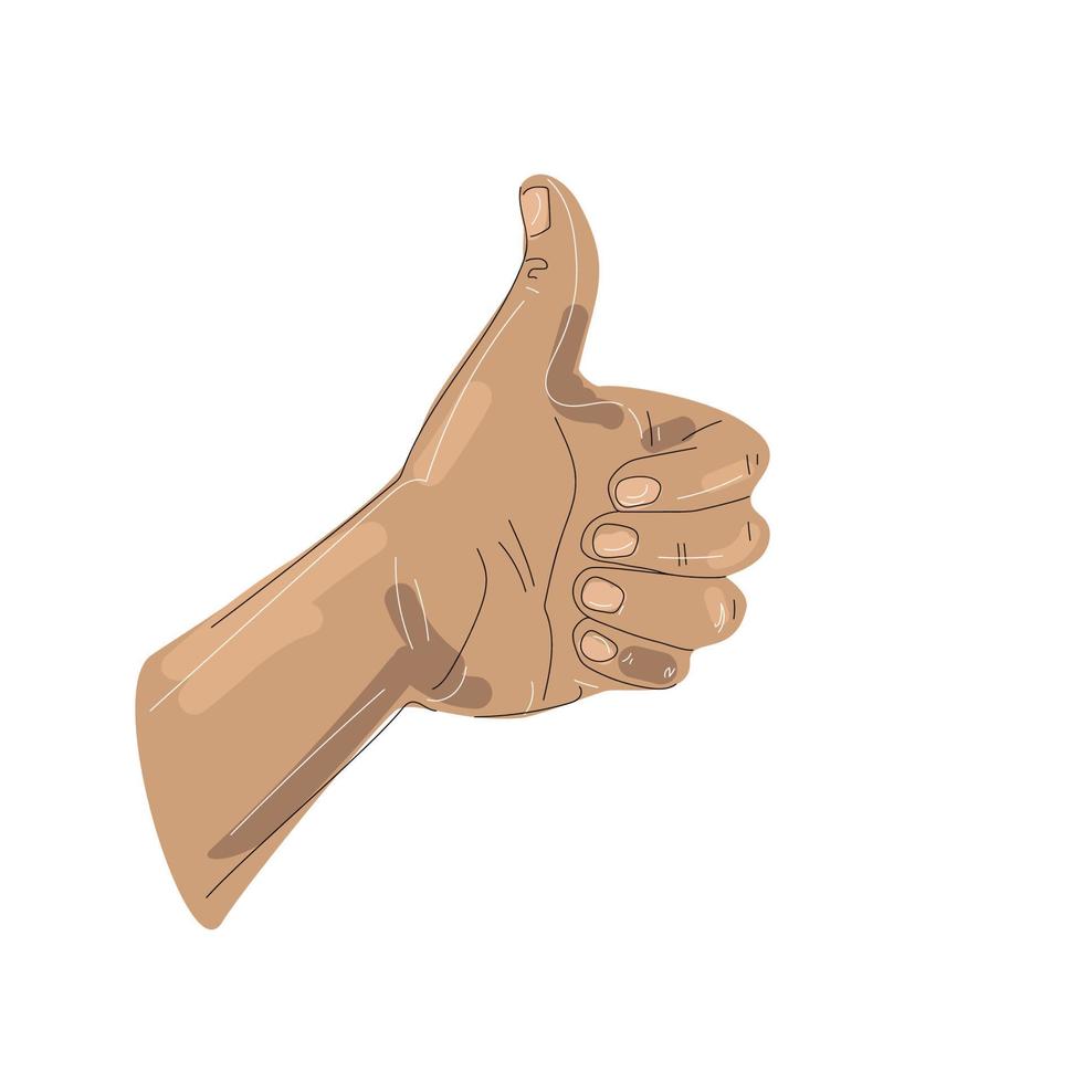 Vector thumbs up illustration drawing in sketch style isolated on white background. Male hand with thumb up