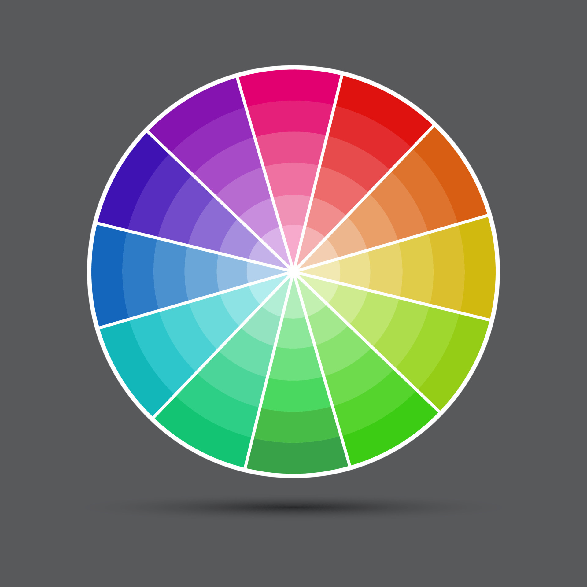 paleta de colores simple, guía de colores redonda, ilustración