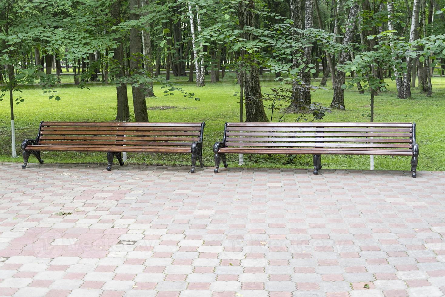 Two benches in the Park. photo