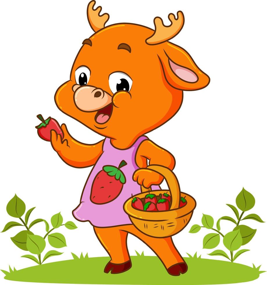 the happy dear is holding a basket of strawberry vector