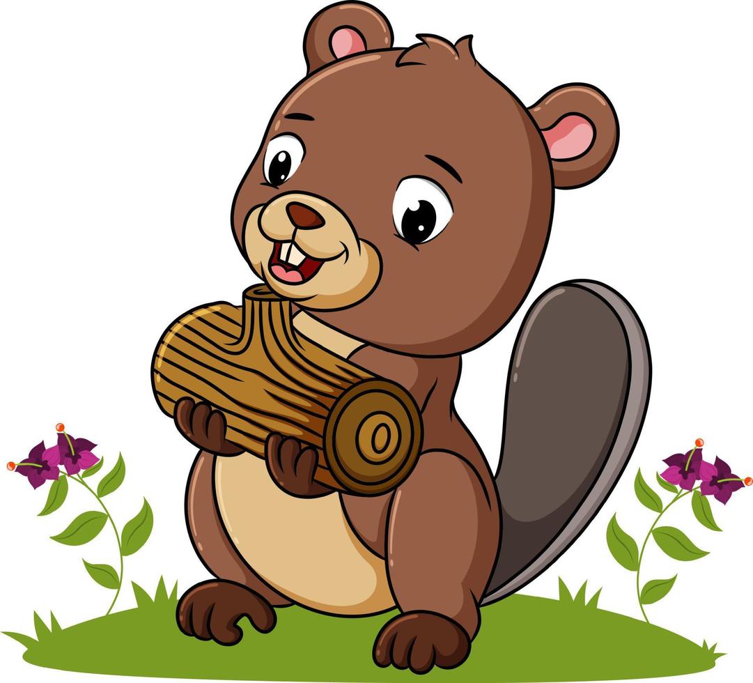 The beaver is holding a piece of wood vector